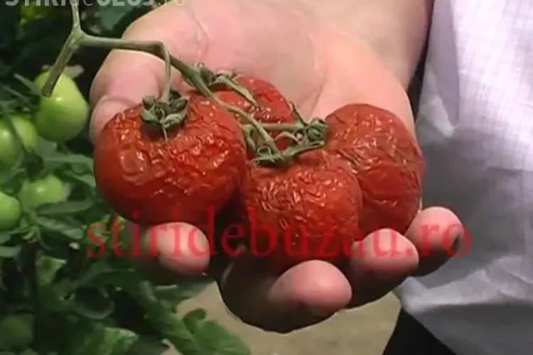 Mancam rosii create de chimisti! VEZI un experiment care te va ingrozi VIDEO