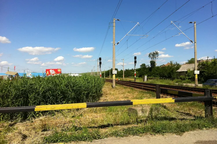 La Sannicoara te loveste trenul in doua secunde! Soferii se plang ca nu vad trenul din cauza stufului