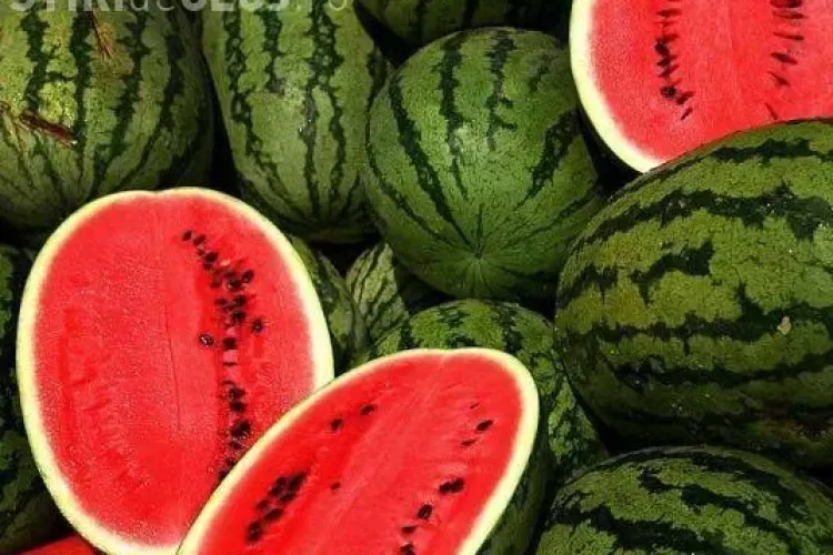 Emil Boc: Standurile pentru pepeni vor fi trase la sorți la Cluj-Napoca. Nu vor mai fi suspiciuni