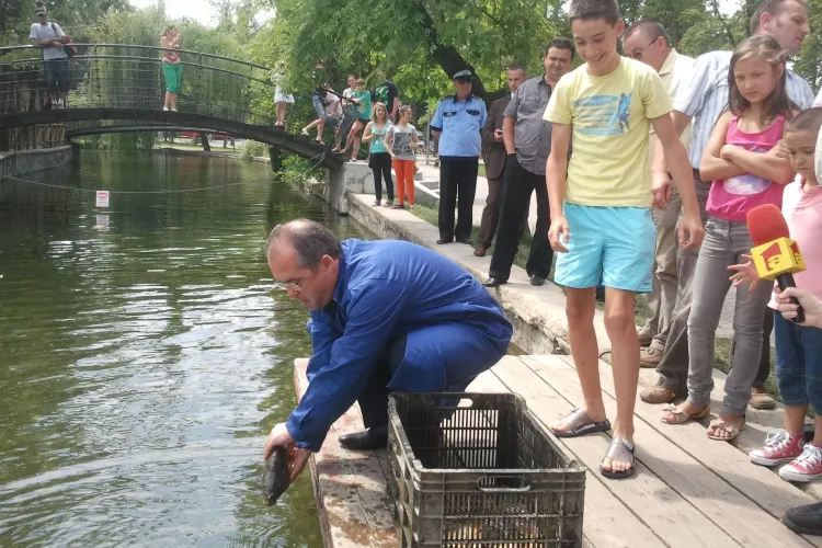 Lacul Chios, populat cu pește FOTO