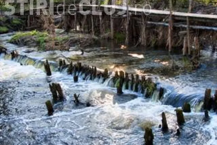 Tragedie in Indonezia : Un pod pe care se aflau 37 de copii s-a prabusit, ducand la moartea a 12 dintre ei