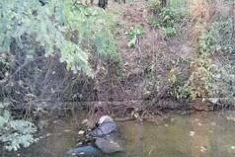 O batrana din Apahida a murit inecata in propria curte