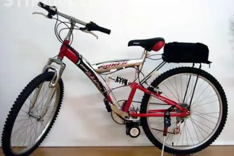 Bicicletele si scuterele, noile pasiuni ale hotilor