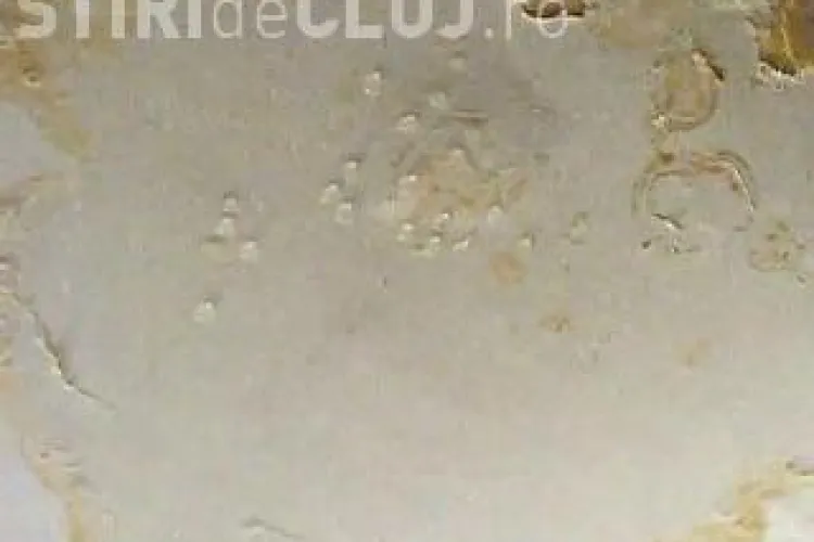 VIDEO - Ploua in camere in caminul 14 din campusul Hasdeu, Cluj-Napoca. "Potopul" din ultimele zile a distrus acoperisul caminului