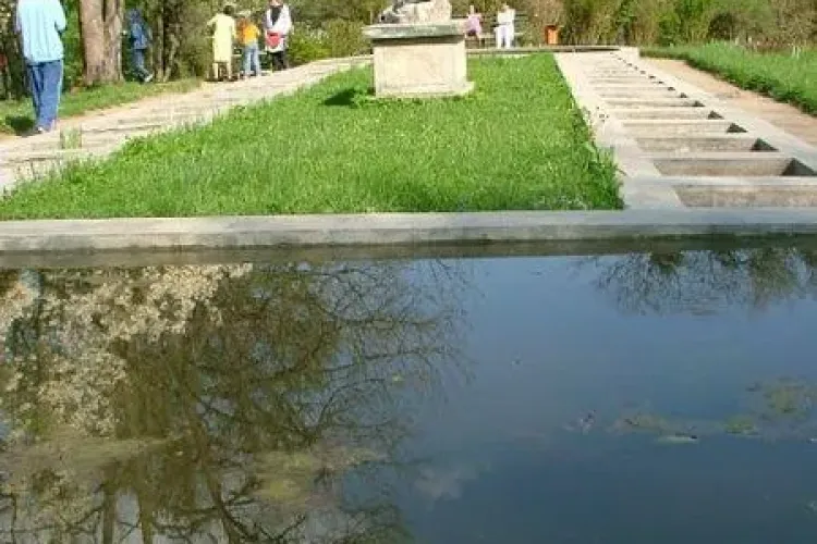 Parintii si copiii sunt asteptati sa caute comori la Gradina Botanica din Cluj