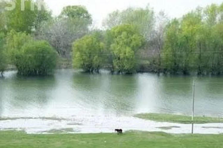 1.700 de hectare de terenuri agricole au fost afectatee de inundatiile din ultima saptamana
