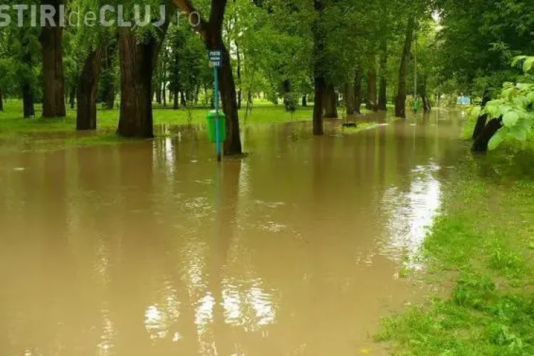 VIDEO - Inundatii si in Gherla! Parcul din oras este sub ape. Somesul Mic s-a revarsat si a inundat si unele gospodarii - FOTO