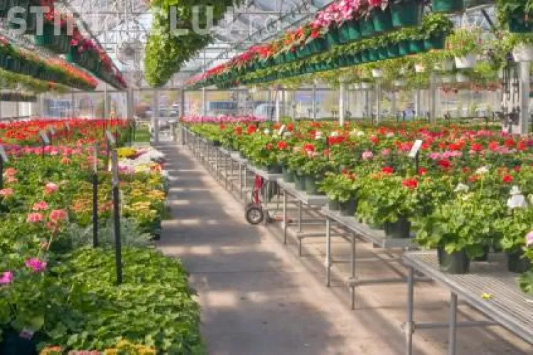 Fostele sere din Campia Turzii au ramas la mila hotilor. Intr-o noapte au fost furate materiale in valoare de 50.000 de lei