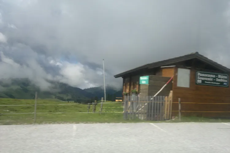 Vezi unde te poţi da pe cea mai lungă pârtie de săniuţe de vară din lume FOTO