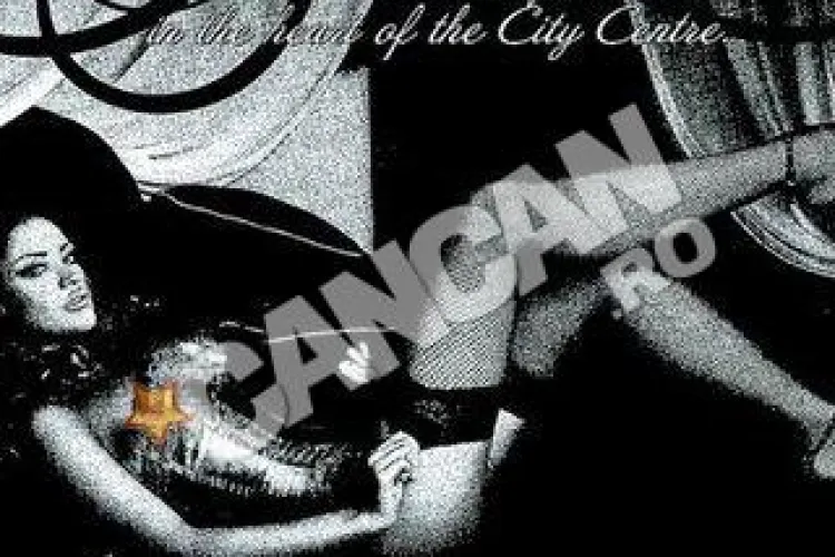 Bianca Drăguşanu, imaginea unui salon de masaj erotic din Letonia 