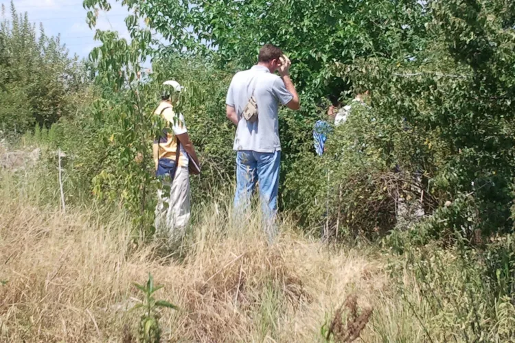 Un schelet de om a fost descoperit în zona Pieţei Abator din Cluj-Napoca FOTO VIDEO