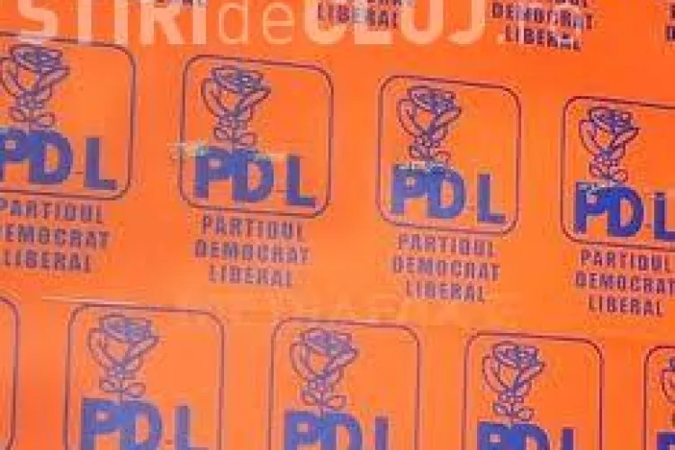 PDL Cluj: Politicile guvernamentale promovate de USL: plagiat, lovituri de stat, abuzuri şi clientelism de partid!