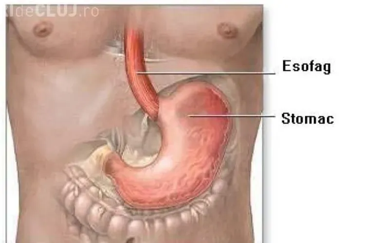 De ce este bine să mâncăm încet
