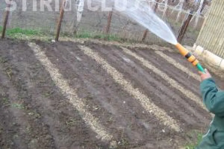 Consumul de apă a crescut în județul Cluj cu 40% din cauza țăranilor