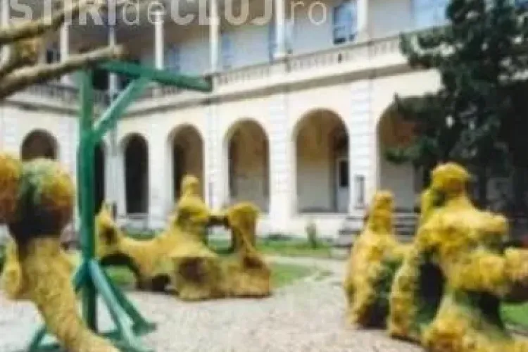 ARTĂ: Lucrările din fân ale clujeanului Erno Bartha, expuse Olimpiada de la Londra VIDEO