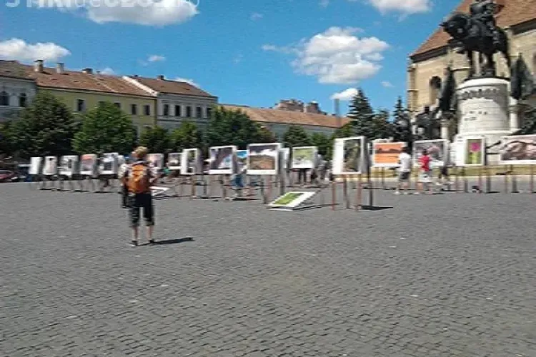 Expoziție ”România sălbatică” în Piața Unirii