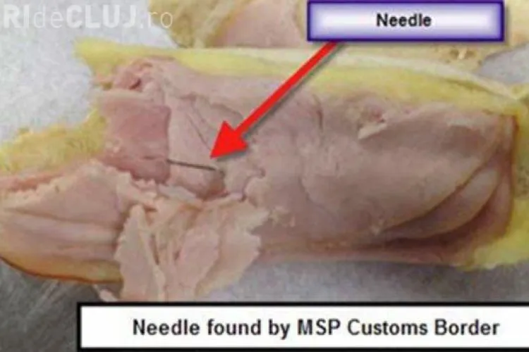 Ace de cusut găsite în sendvişurile servite pe curse aeriene