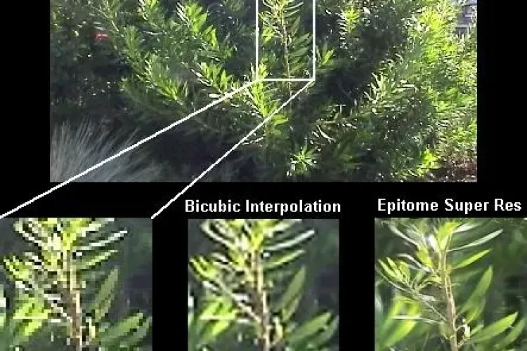 Zoom la poze ca în filmele polițiste