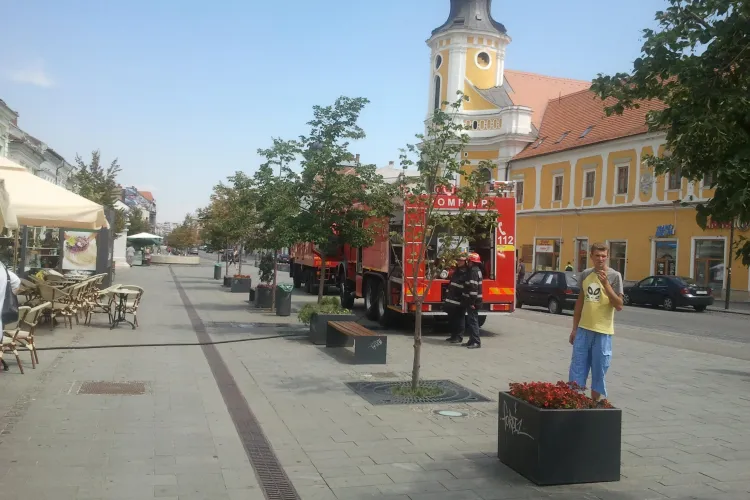 Incendiu la Janis Pub, pe Bulevardul Eroilor, de la un scurt circuit VIDEO