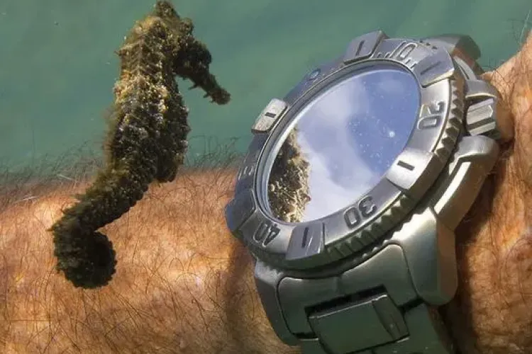 50 de imagini SUPERBE ale anului 2012 Galerie FOTO