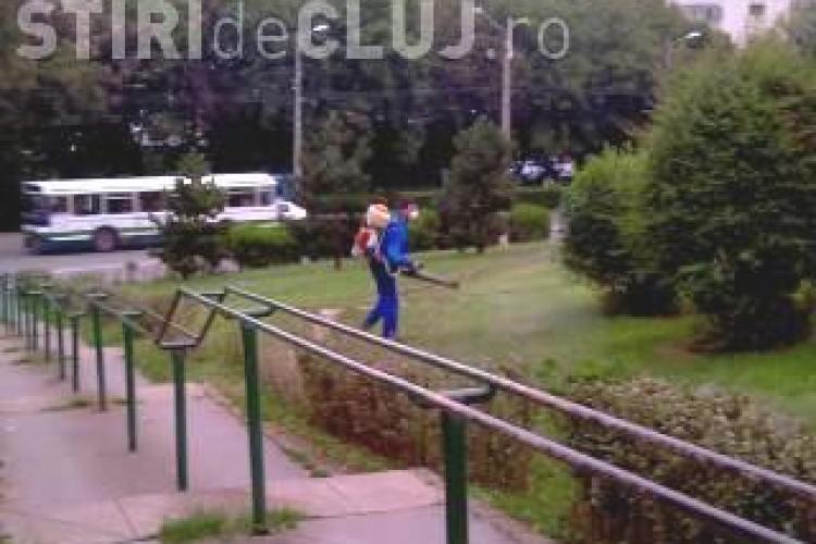 Acţiune de dezinsecţie la Cluj