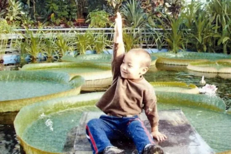 Spectacol al naturii în Grădina Botanică din Cluj: Nufărul de Amazon FOTO