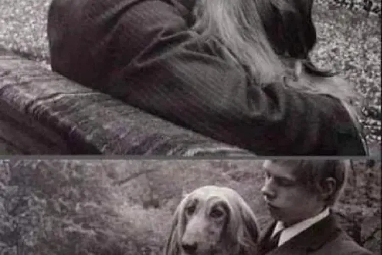 Fotografia care a făcut senzaţie, dar pe care femeile nu o suportă