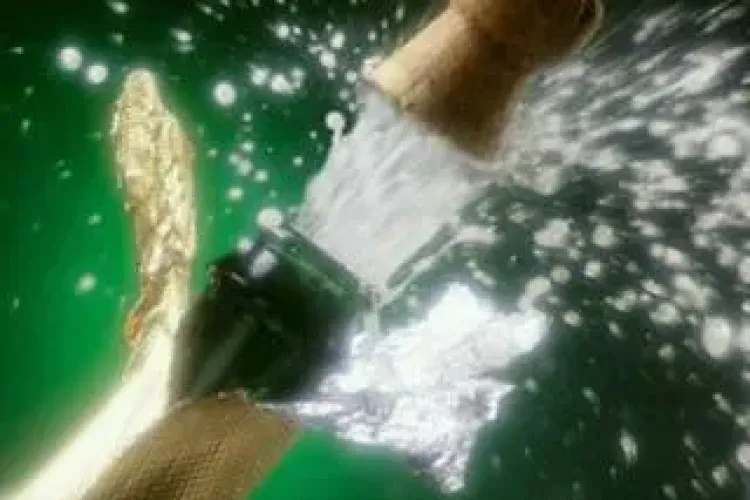 Zilele Culturale Maghiare 2012: 696 de sticle de șampanie deschise pentru aniversarea Clujului