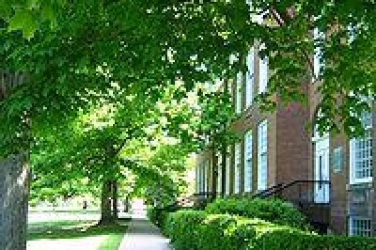 Locuitorii de pe strada Pădurii vor TROTUAR: "Cărucioarele cu copii trebuie să treacă pe carosabil"