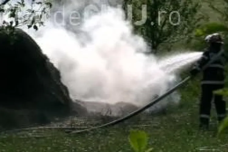 Au incendiat o grădină din Dej şi au fugit de la locul faptei VIDEO