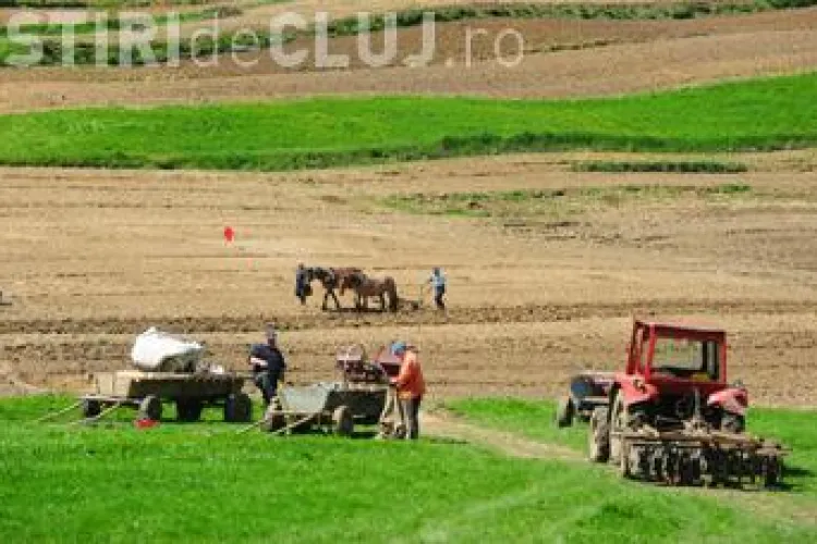 Agricultura ABANDONATĂ în România în 2020?