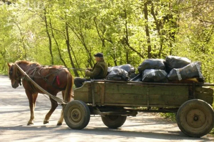 Două căruţe S-AU CIOCNIT frontal pe un drum naţional