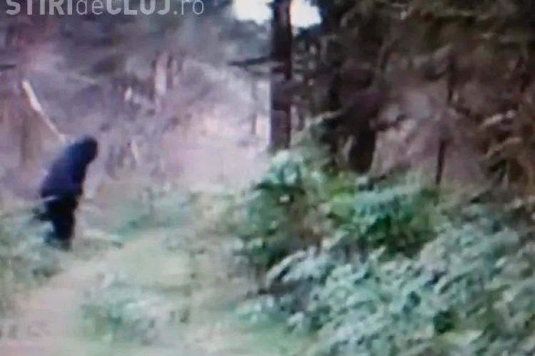 O nouă filmare cu Bigfoot face furori pe Internet VIDEO