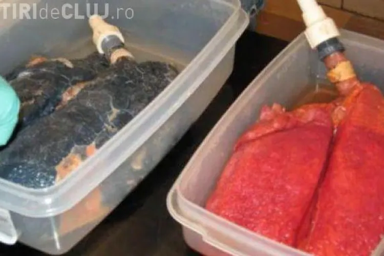 Lege REVOLUŢIONARĂ anti-fumat. Cum vor arăta pachelete de ţigări