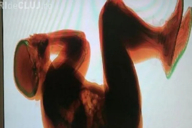 Angajaţii unui aeroport din Roma au înlemnit când au privit imaginea de pe monitor 