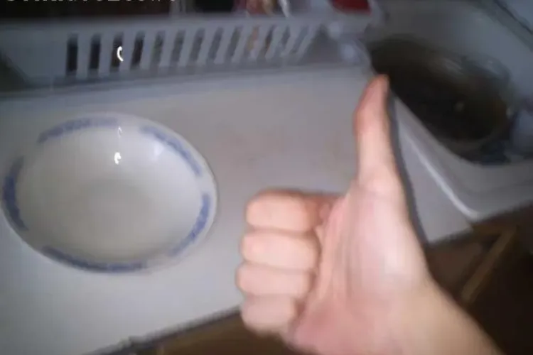 MORI DE RÂS! Un român a descoperit metoda prin care să nu mai speli niciodată farfuriile FOTO