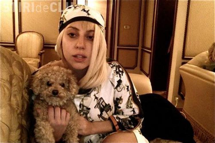 Lady Gaga şi căţelul ei Fozzi, răsfăţaţi în backstage cu şedinte de masaj şi grooming pentru cel mic  