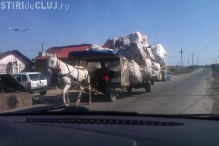 Cal înhămat la o căruţă ARHIPLINĂ pe străzile Clujului! Aşa ceva numai în România vezi! VIDEO ŞTIREA CITITORULUI