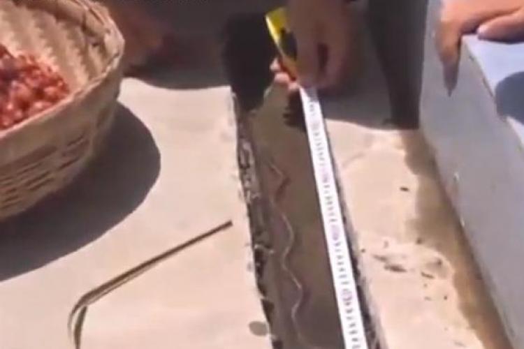 O râmă de jumătate de metru a fost găsită într-o conductă din China VIDEO