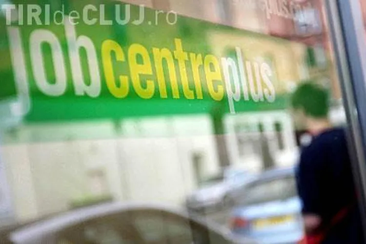 Ce NU verifică niciodată angajatorii la un CV