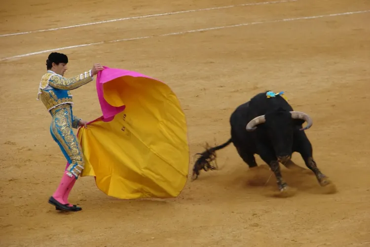  Coridele din Spania, difuzate din nou la televizor