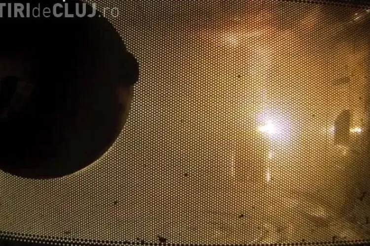 TÂMPENIE MAXIMĂ! iPhone 5 prăjit la microunde VIDEO