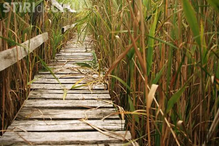 Ecotransilvania a primit o finanțare americană pentru conservarea mediului în bazinul Fizeșului