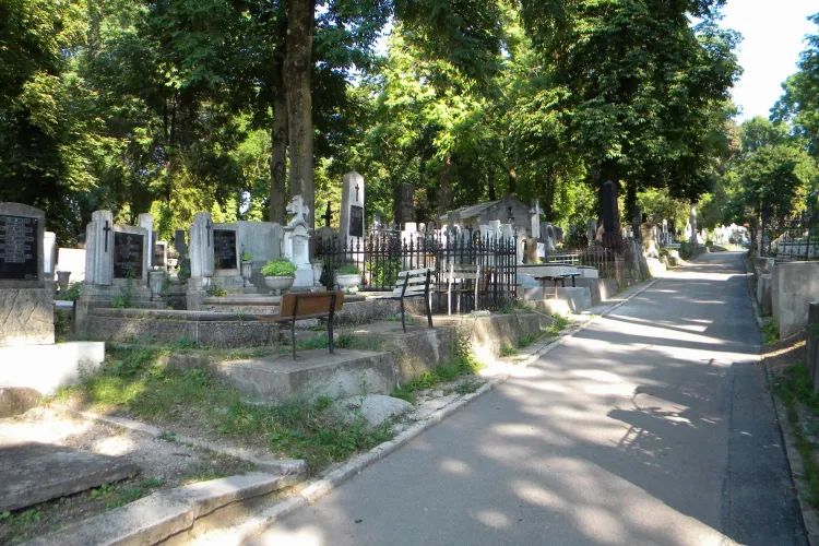 Razie în Cimitirul Central din Cluj-Napoca - VIDEO