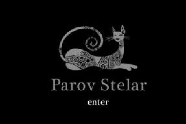 Câștigătorii concursului ”Un bilet la Parov Stelar”
