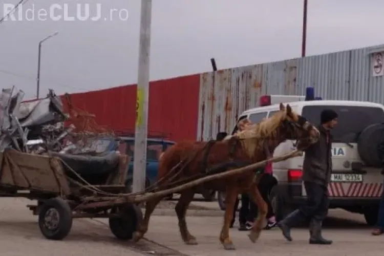 Au furat fier în valoare de 130.000 de lei  