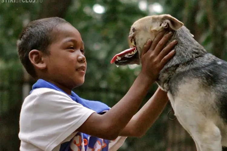 Câinele care a rămas fără bot după ce a salvat două fetițe va fi operat în SUA - FOTO IMPRESIONANTE