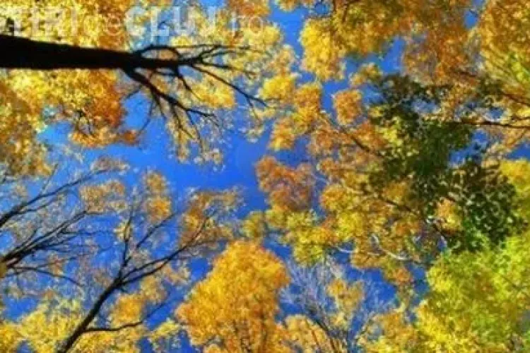 PROGNOZA METEO până pe 29 octombrie: Cum va fi vremea în Transilvania