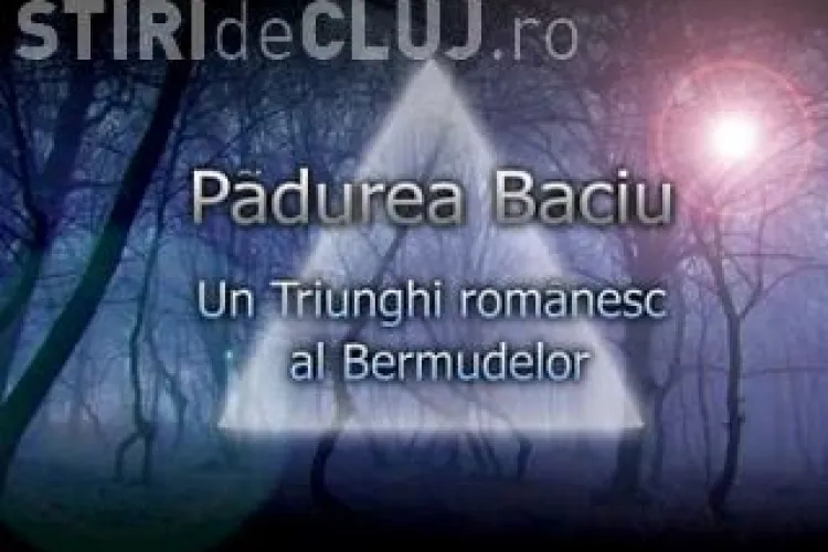 Pădurea Baciu-Hoia, printre cele mai ”bântuite păduri din lume”