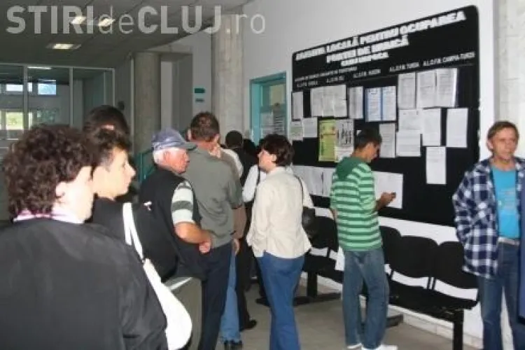 Peste 1.500 de locuri de muncă disponibile în Cluj